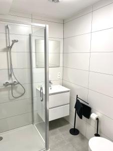 bagno con doccia, lavandino e servizi igienici di Ciney - Le nid du Clocher a Ciney