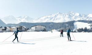 Hotel Falknerhof talvel