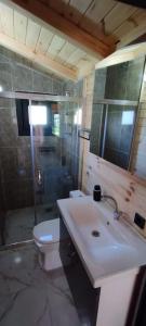 bagno con servizi igienici, lavandino e specchio di olive garden bungalow a Fethiye