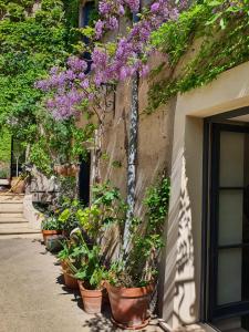 a row of potted plants on the side of a building at Luxurious Character House in the Heart of Roujan in Roujan