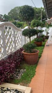 クアンタンにあるBeit Azzahra Private Pool Villa at Pantai Batu Hitamの鉢植えの木や植物が植えられた白い柵