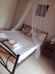 a bed with a mosquito net in a room at Stamatia's Houses in Agios Georgios