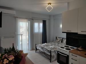 A kitchen or kitchenette at Dream House Ioannina