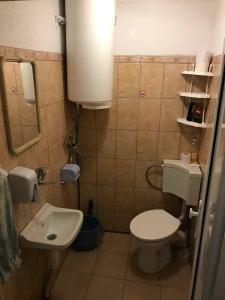 a small bathroom with a toilet and a sink at 10 Coins Hostel & tours in Sofia