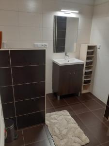 Koupelna v ubytování Apartmán Na Kamenu