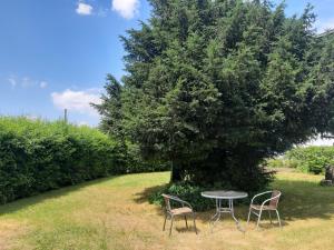 Zahrada ubytování Apartmán Na Kamenu + 5 fotografií