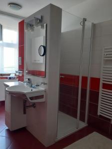 Koupelna v ubytování Apartmán Na Kamenu