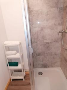 ein Bad mit einer Dusche und einer Glastür in der Unterkunft Ferienwohnung Göttsche-Hof in Hennstedt