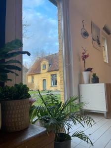 una ventana con plantas frente a una casa en Stijlvolle ruimte in historische boerderij., en Destelbergen