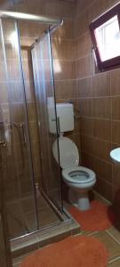ズラティボールにあるPorodicna brvnara Ivanovicのトイレとシャワー付きのバスルーム +10枚の写真