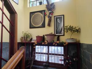 un pasillo con plantas y cuadros en la pared en Shree Guest House, en McLeod Ganj