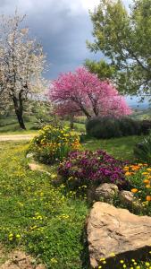 um jardim com flores e árvores num campo em agriturismo Poggio Monte Saturnia em Saturnia
