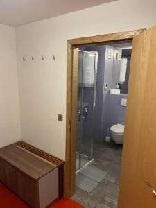 a bathroom with a shower and a toilet at Palava eu 10 in Pavlov