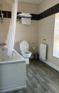 a bathroom with a toilet and a tub and a sink at Hotel Penwig in New Quay