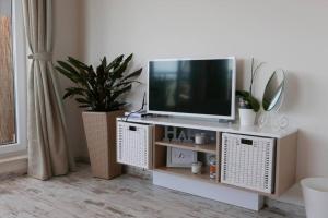 a television on a white stand with a potted plant at Charmful new flat with Hill view in Plovdiv