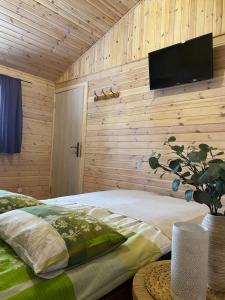 a bedroom with a bed and a flat screen tv on a wall at Kempings Bejas in Babīte