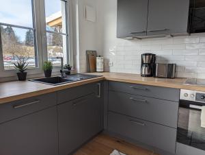 Kuchyň nebo kuchyňský kout v ubytování ApartSchön