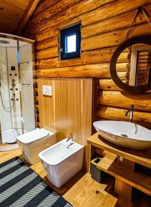 baño con aseo y lavamanos en una cabaña de madera en Complex Bosco, en Borşa