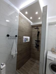 a bathroom with a shower and a sink at STAN NA DAN BIJELJINA in Bijeljina