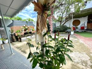 roślina przed domem z parasolką w obiekcie Little Rock Cebu w mieście Mactan