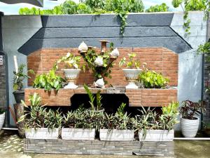 a bunch of plants in pots on a brick wall at Little Rock Cebu in Mactan