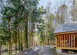 a house on a road with trees in the background at Bulworthy Forest Lodges in Instow