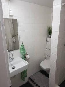 a white bathroom with a toilet and a sink at Ferienwohnung BeLa, Nähe Nürburgring in Luxem