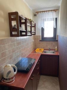 a kitchen with a counter top and a sink at Pokoje Gościnne u Ady in Jurgów
