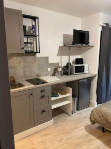 a small kitchen with a sink and a microwave at Appart hôtel Toucy in Toucy