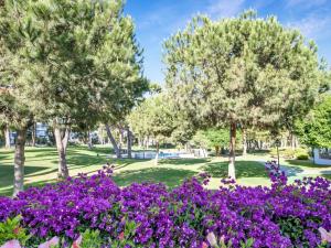 Zahrada ubytování Amplio y luminoso apartamento en 1 línea playa