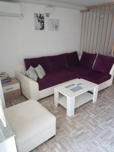 - un salon avec un canapé et une table basse dans l'établissement Apartmani Most, à Trebinje