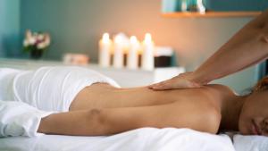 Lázně a/nebo wellness v ubytování Dvorak Spa & Wellness