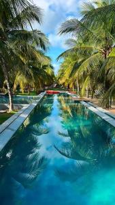 einen Pool mit Palmen und blauem Wasser in der Unterkunft Villas Taturé in São Miguel dos Milagres