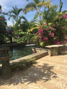 a park with a pond with pink flowers and palm trees at B&B Verger Vannary 