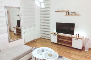 Et tv og/eller underholdning på Silver Apartment