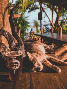 Mascotas con sus dueños en Happy Lemon Tree lodge