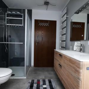 ein Bad mit einer Dusche, einem WC und einem Waschbecken in der Unterkunft Ferienwohnung Brigitte Frank in Bärnau