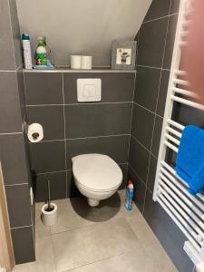 a bathroom with a toilet and a blue towel at Gîte des cigognes in Sermersheim