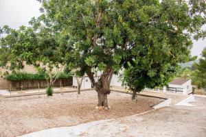 Vonkajšia záhrada v ubytovaní Casa Mas Montanas vakantiehuis met zwembad Max 10-12 pers Vlakbij Valencia