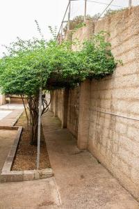 Fotografia z galérie ubytovania Casa Mas Montanas vakantiehuis met zwembad Max 10-12 pers Vlakbij Valencia v destinácii Godelleta