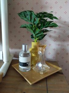 a bottle of perfume and a potted plant on a table at Hazler Lodge in Church Stretton