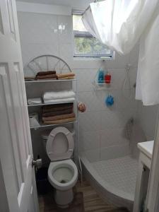 a bathroom with a toilet and a tub and a sink at Casa Arturo in Mount Gay