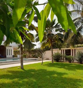 podwórko z zieloną trawą i palmami w obiekcie Villa Carabane w mieście Somone