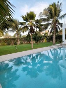 a swimming pool with palm trees in the background at Villa Carabane in Somone