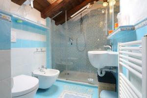 a bathroom with a toilet and a sink and a shower at The Duck's Cottage in Feltre