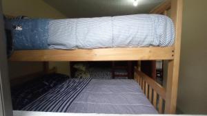 a bunk bed with a blue and white blanket on it at Patrick's House in Baños