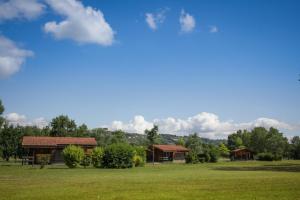 a group of buildings in a field with trees at Les Chalets de Condrieu in Condrieu