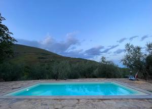 Bazén v ubytování Agriturismo Campo dei Lupi nebo v jeho okolí