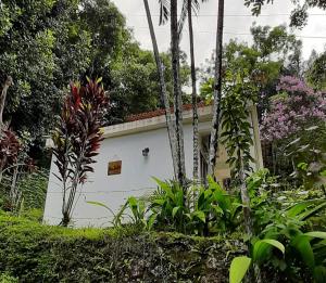 a white building in a garden with trees and flowers at Ilha Suites - Vila do Abraão in Abraão