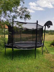 a black hammock in the grass with an umbrella at Franzl Hof Zorell in Ravensburg